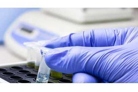 共33家参评！ 上海开展重点实验室（生物医药领域）评估工作